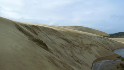 Meth found hidden in sand dunes auckland NZ